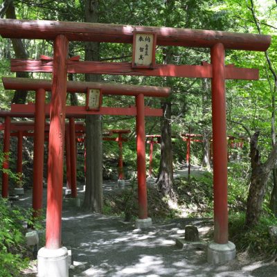 萬蔵稲荷神社　夏の様子