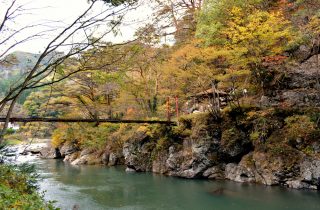 紅葉と赤い吊り橋